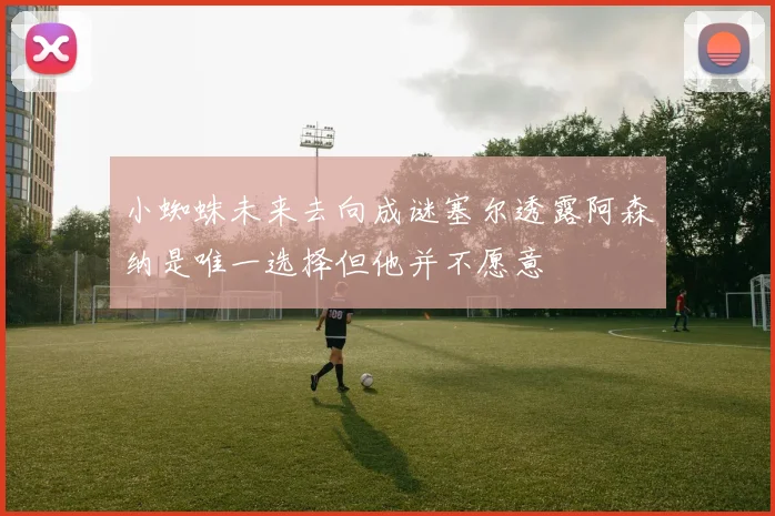 小蜘蛛未来去向成谜塞尔透露阿森纳是唯一选择但他并不愿意
